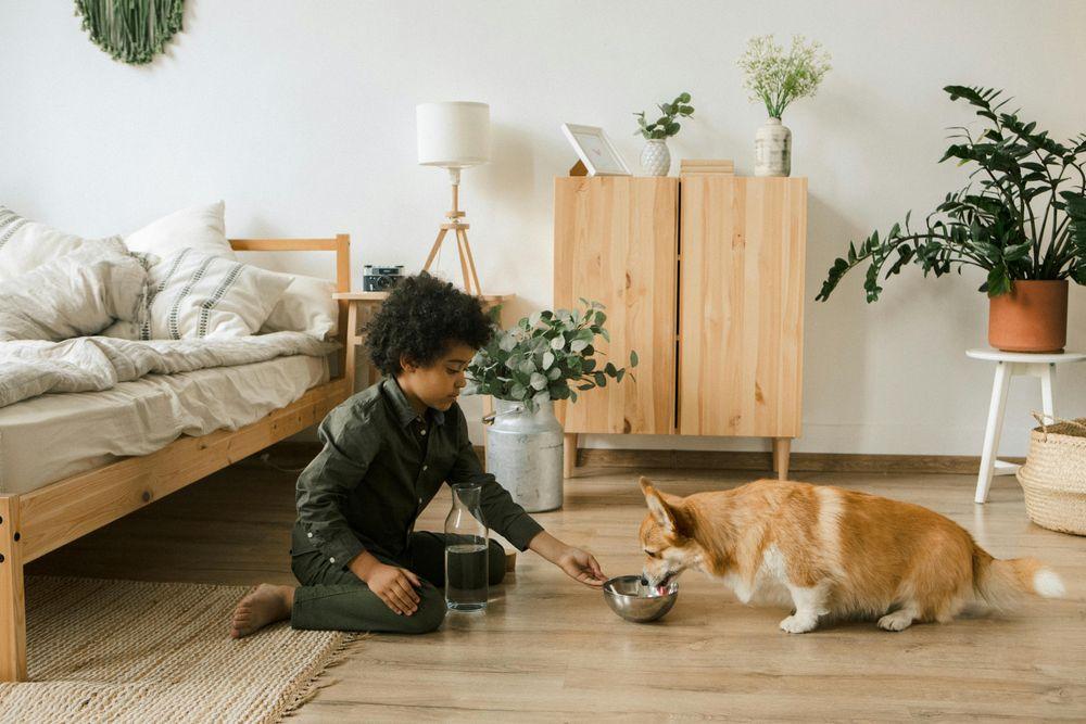 Imagen del artículo: Guía de mascotas en condominios: cuidados y normas